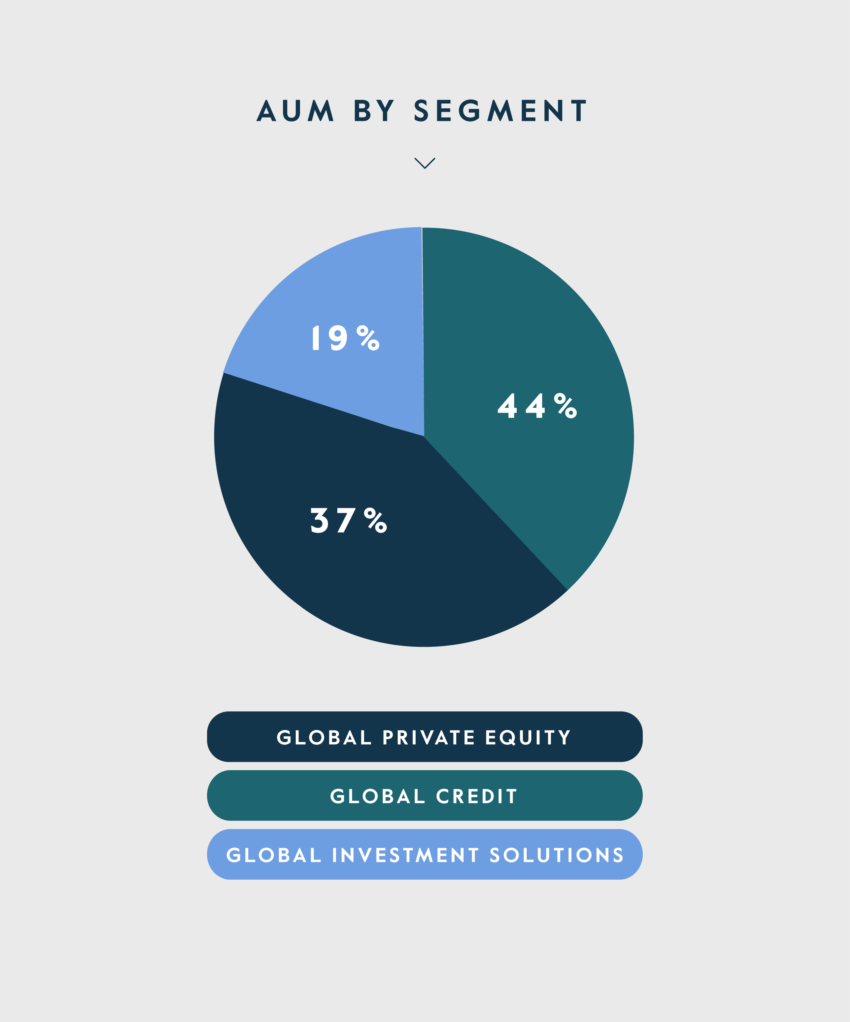 AUM by Segment