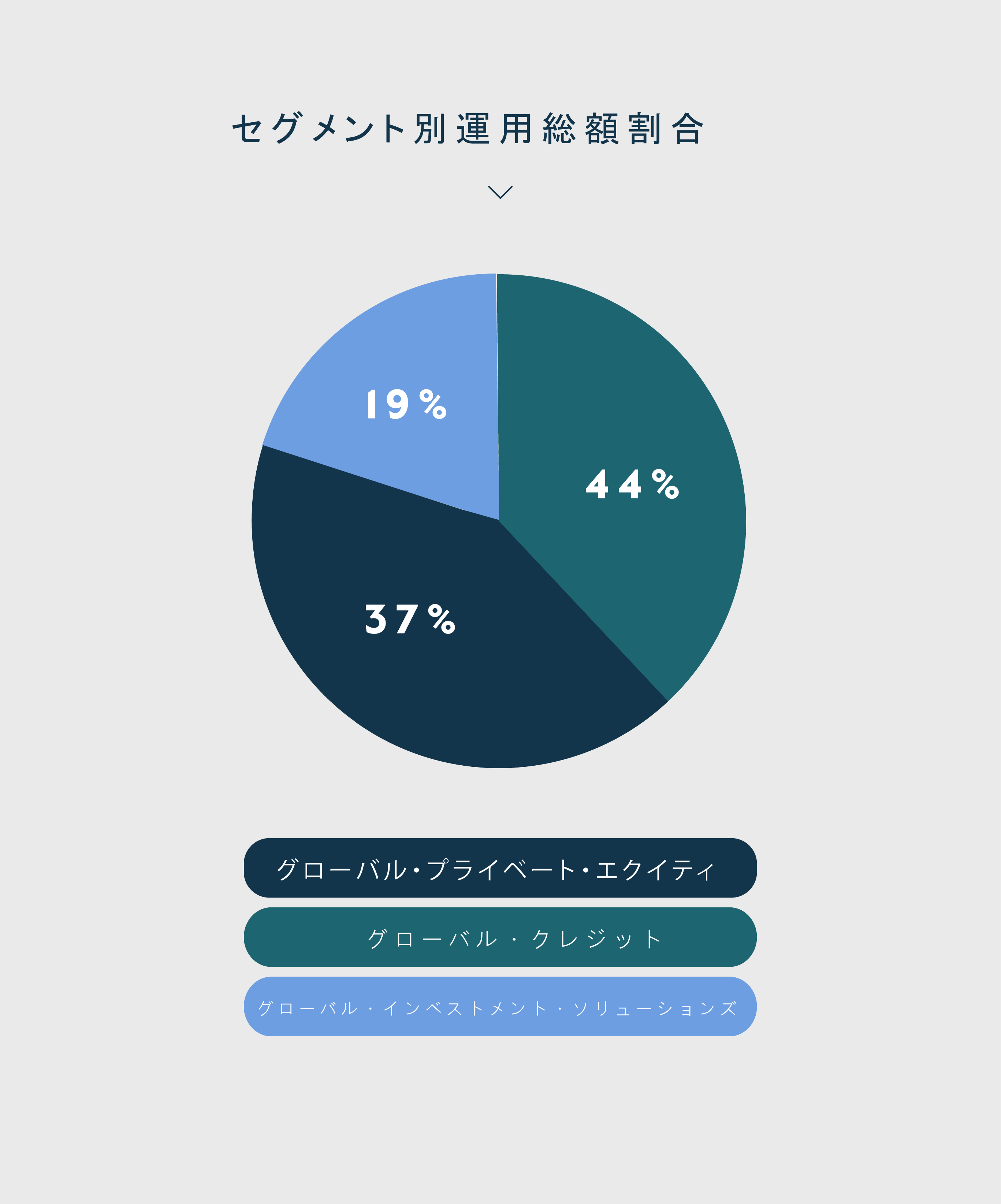 AUM by Segment - Japanese