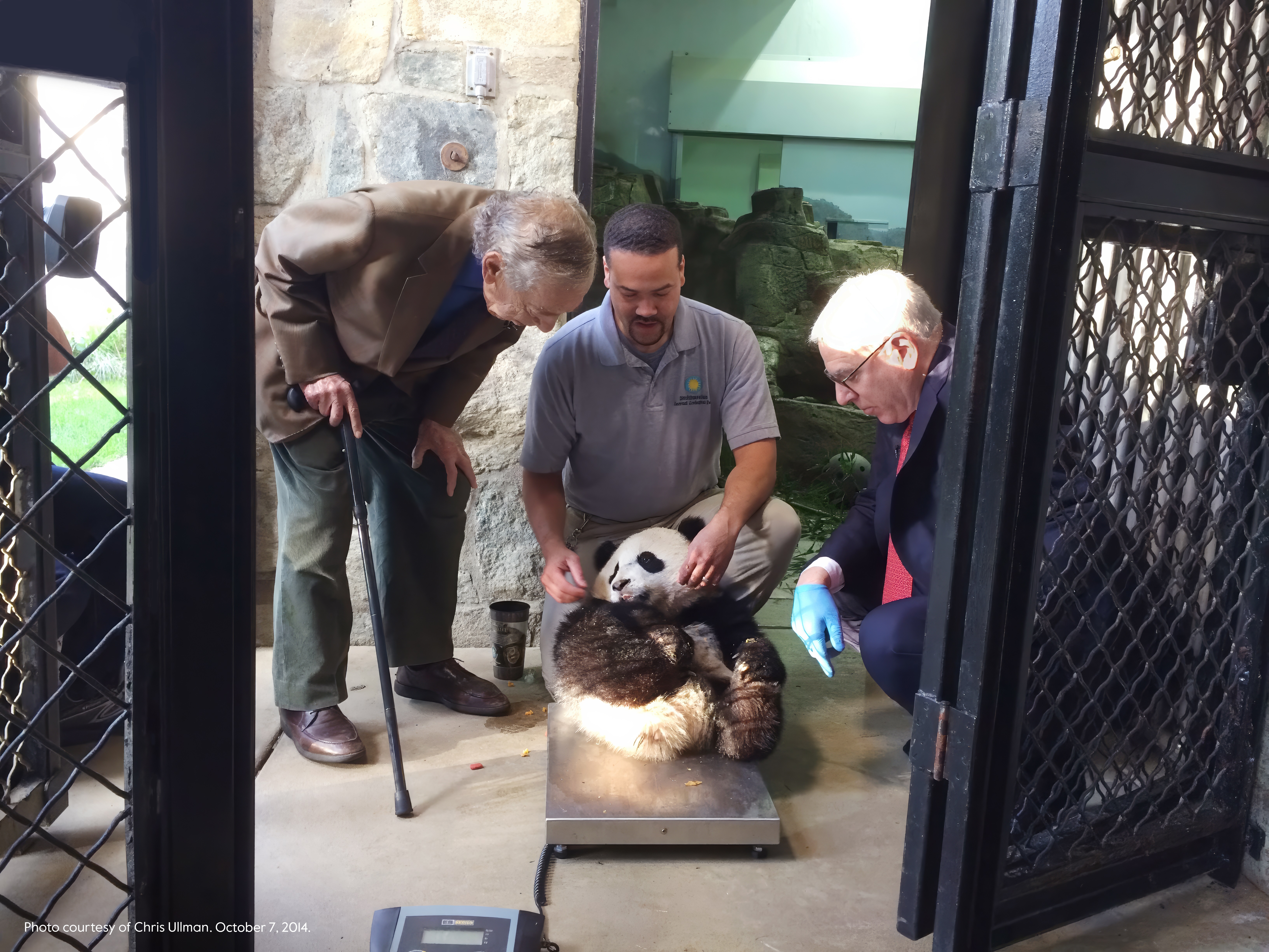 David Rubenstein with National Zoo Pandas