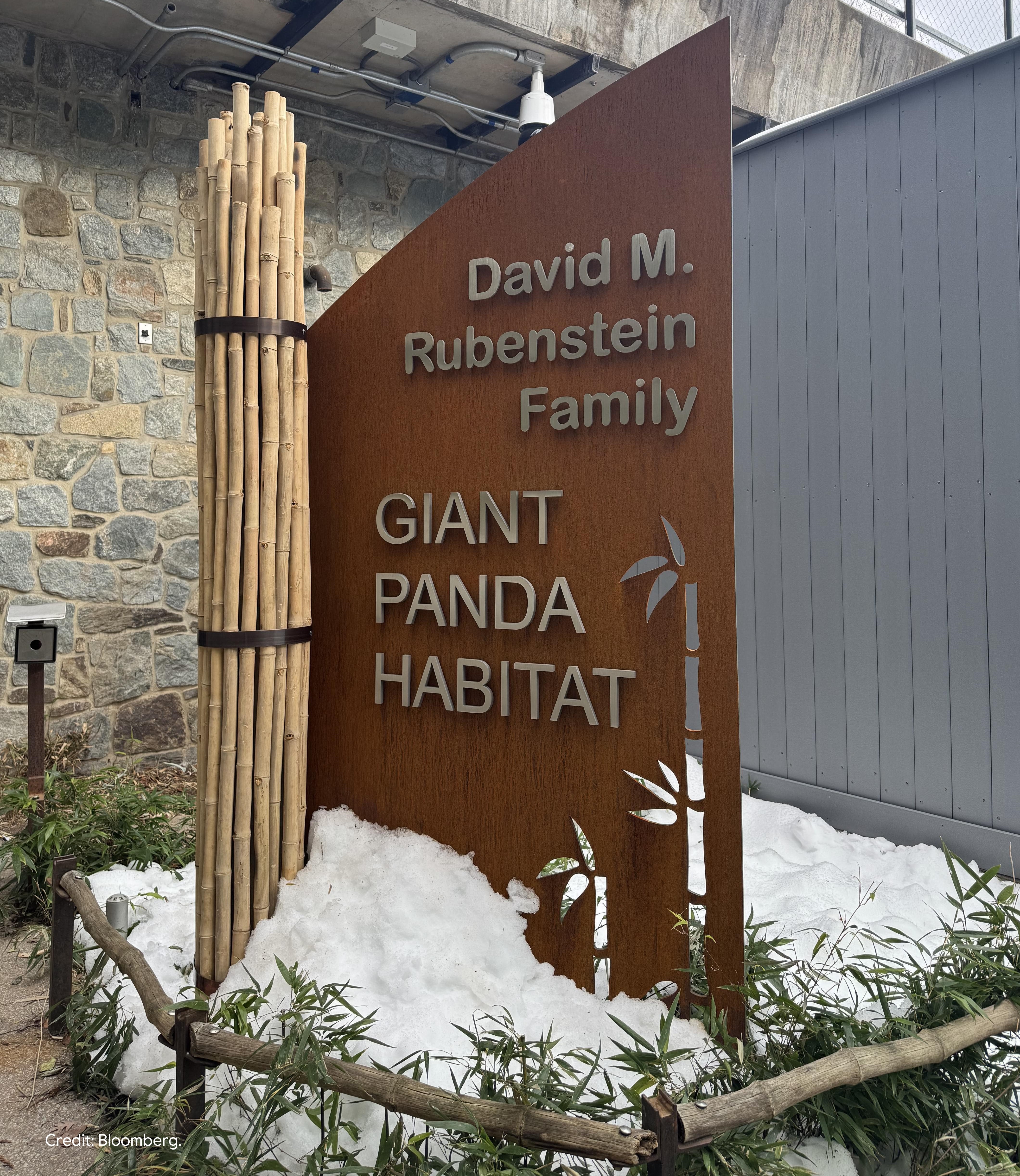 David M Rubenstein Family Giant Panda Habitat