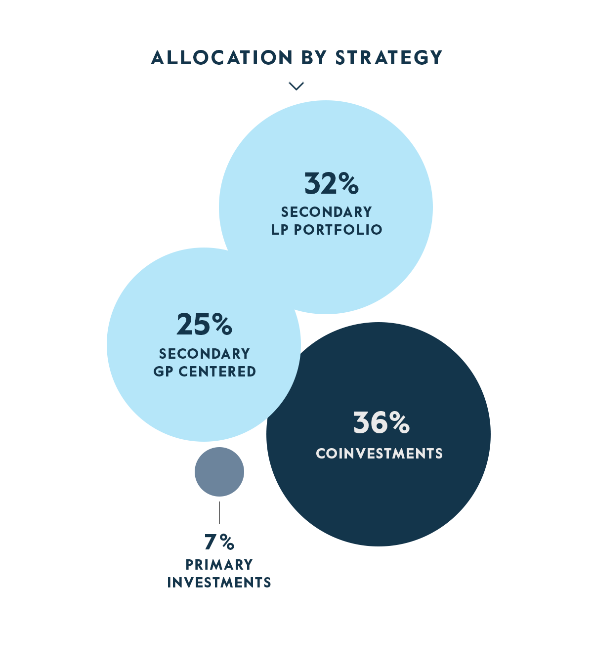 Allocation by Strategy